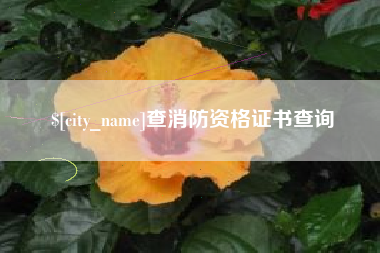 东台查消防资格证书查询