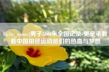 东台男子5000米全国记录-更是承载着中国田径运动员们的热血与梦想