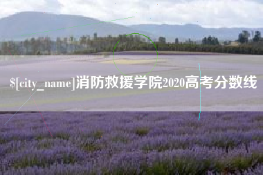 东台消防救援学院2020高考分数线