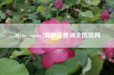 东台消防证查询全国联网