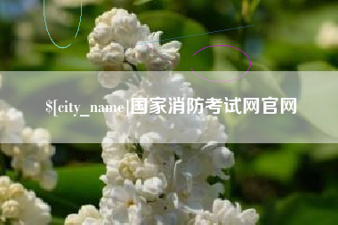 东台国家消防考试网官网