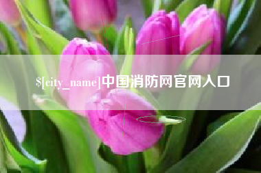东台中国消防网官网入口