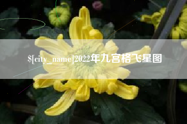 东台2022年九宫格飞星图