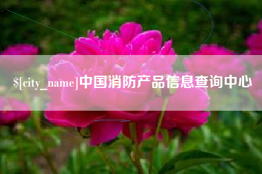 东台中国消防产品信息查询中心