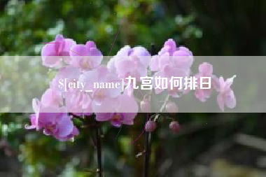 东台九宫如何排日