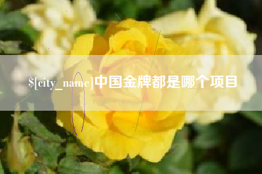 东台中国金牌都是哪个项目