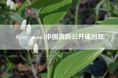 东台中国消防公开课回放