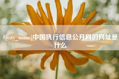 东台中国执行信息公开网的网址是什么