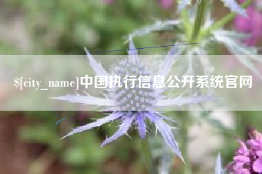 东台中国执行信息公开系统官网