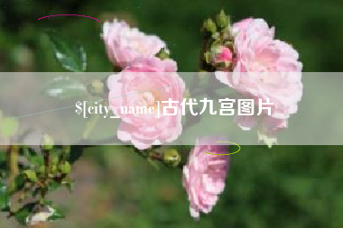 东台古代九宫图片