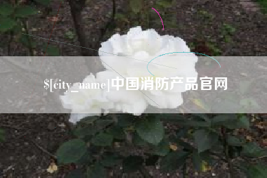 东台中国消防产品官网
