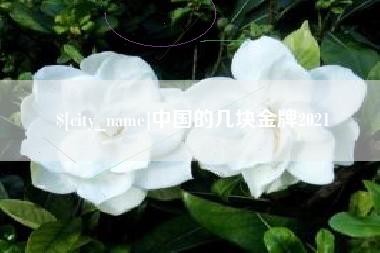 东台中国的几块金牌2021
