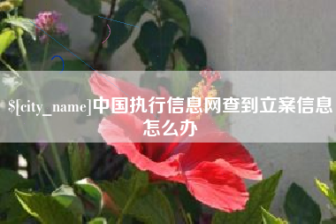 东台中国执行信息网查到立案信息怎么办