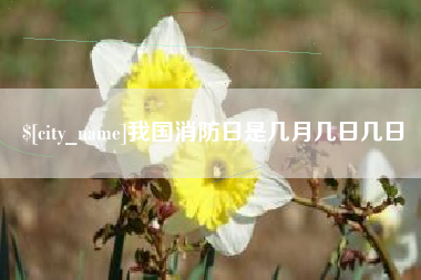 东台我国消防日是几月几日几日