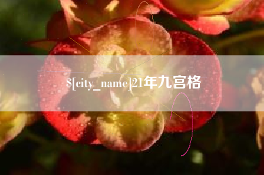 东台21年九宫格