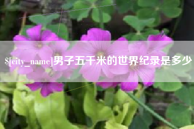 东台男子五千米的世界纪录是多少