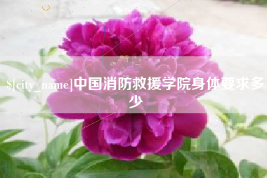 东台中国消防救援学院身体要求多少