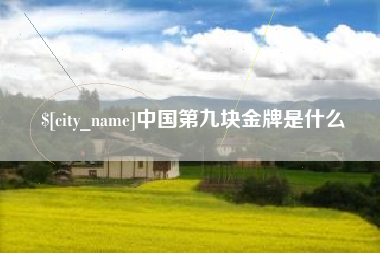 东台中国第九块金牌是什么