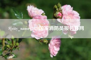 东台2021国家消防员报名官网