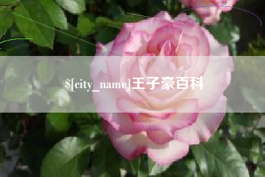 东台王子豪百科