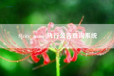 东台执行公告查询系统