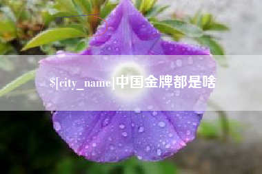 东台中国金牌都是啥