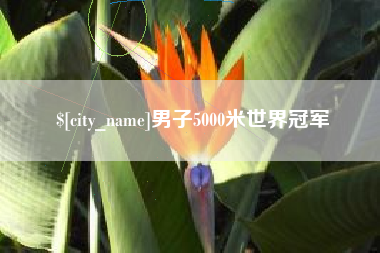 东台男子5000米世界冠军