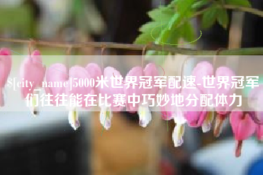 东台5000米世界冠军配速-世界冠军们往往能在比赛中巧妙地分配体力