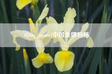 东台中国金牌包括