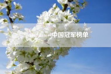 东台中国冠军榜单