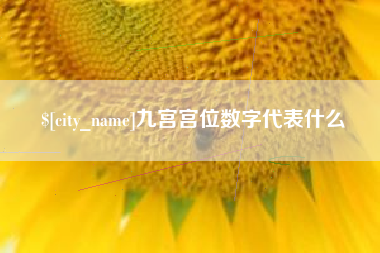 东台九宫宫位数字代表什么