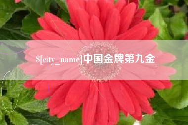 东台中国金牌第九金