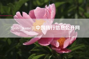东台1.中国执行信息公开网