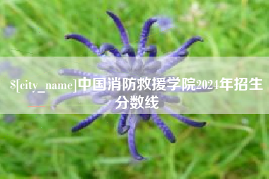 东台中国消防救援学院2024年招生分数线