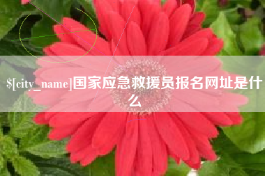 东台国家应急救援员报名网址是什么