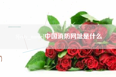 东台中国消防网址是什么