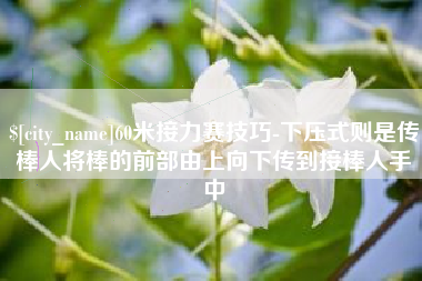 东台60米接力赛技巧-下压式则是传棒人将棒的前部由上向下传到接棒人手中