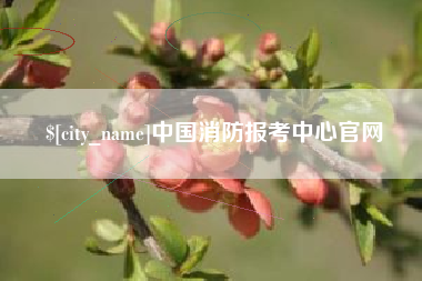 东台中国消防报考中心官网