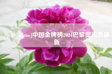 东台中国金牌榜2024巴黎奥运会最新