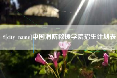 东台中国消防救援学院招生计划表