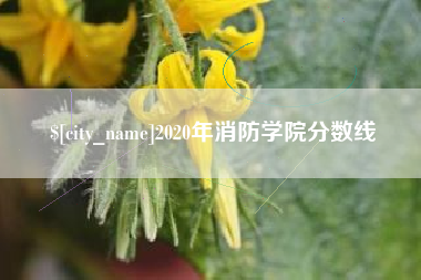 东台2020年消防学院分数线