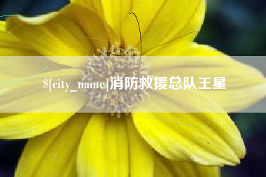 东台消防救援总队王星