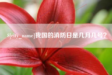 东台我国的消防日是几月几号？