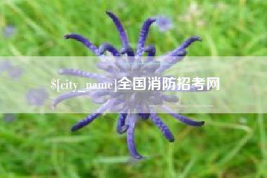 东台全国消防招考网