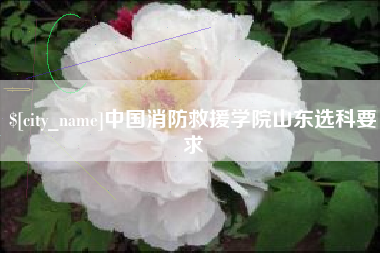 东台中国消防救援学院山东选科要求