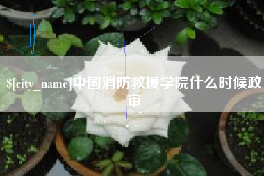 东台中国消防救援学院什么时候政审