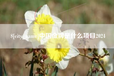 东台中国金牌是什么项目2024