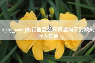 东台执行信息公开网查询不到被执行人信息