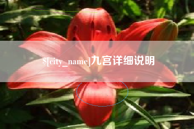 东台九宫详细说明