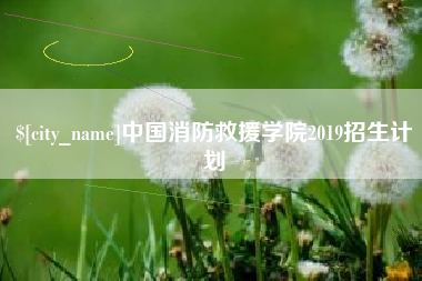 东台中国消防救援学院2019招生计划